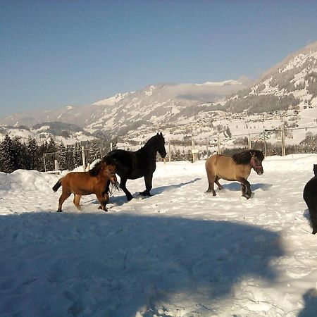 Apartmán Weidinghof Sankt Veit im Pongau Exteriér fotografie
