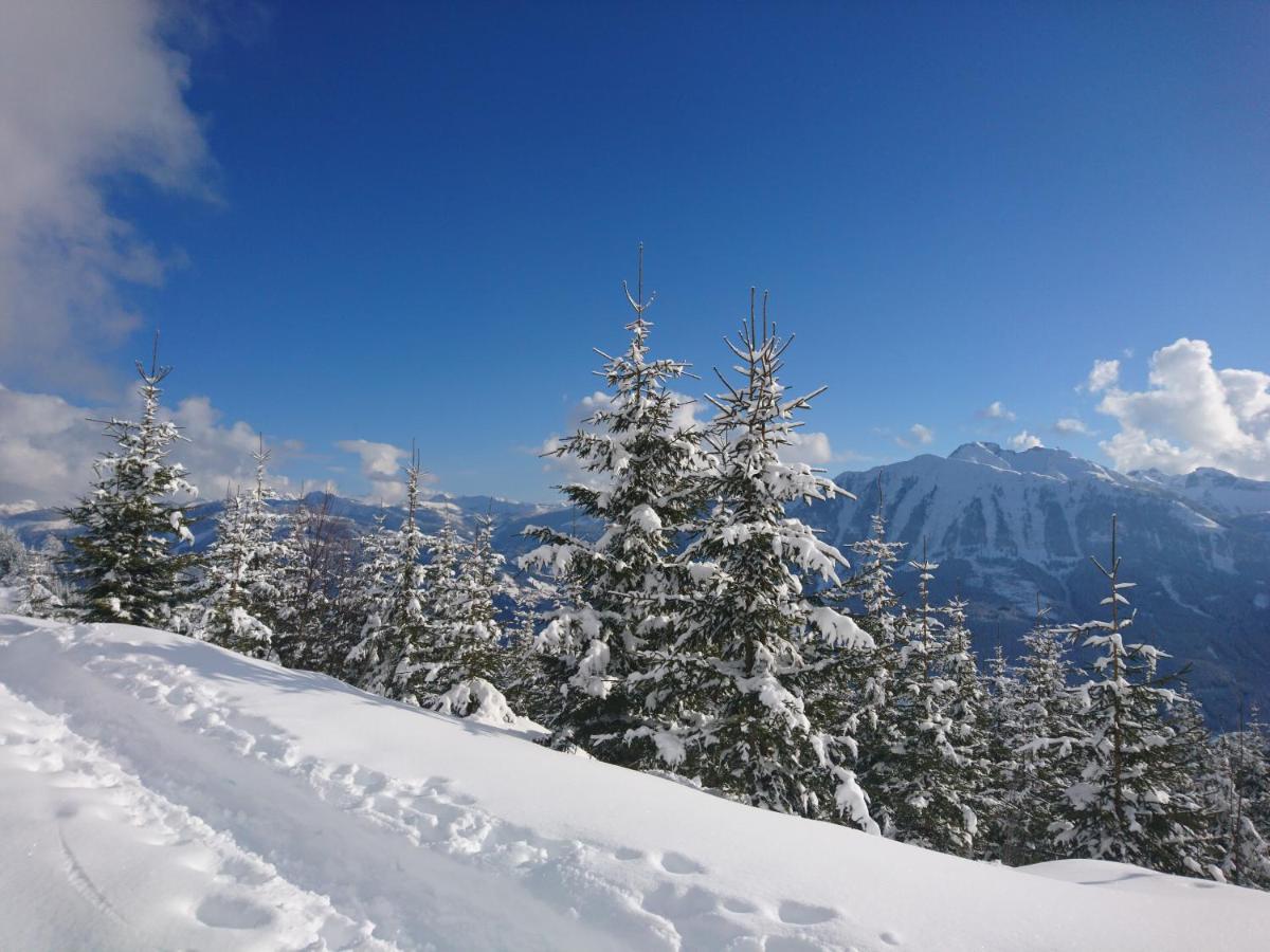Apartmán Weidinghof Sankt Veit im Pongau Exteriér fotografie