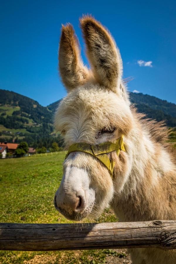 Apartmán Weidinghof Sankt Veit im Pongau Exteriér fotografie