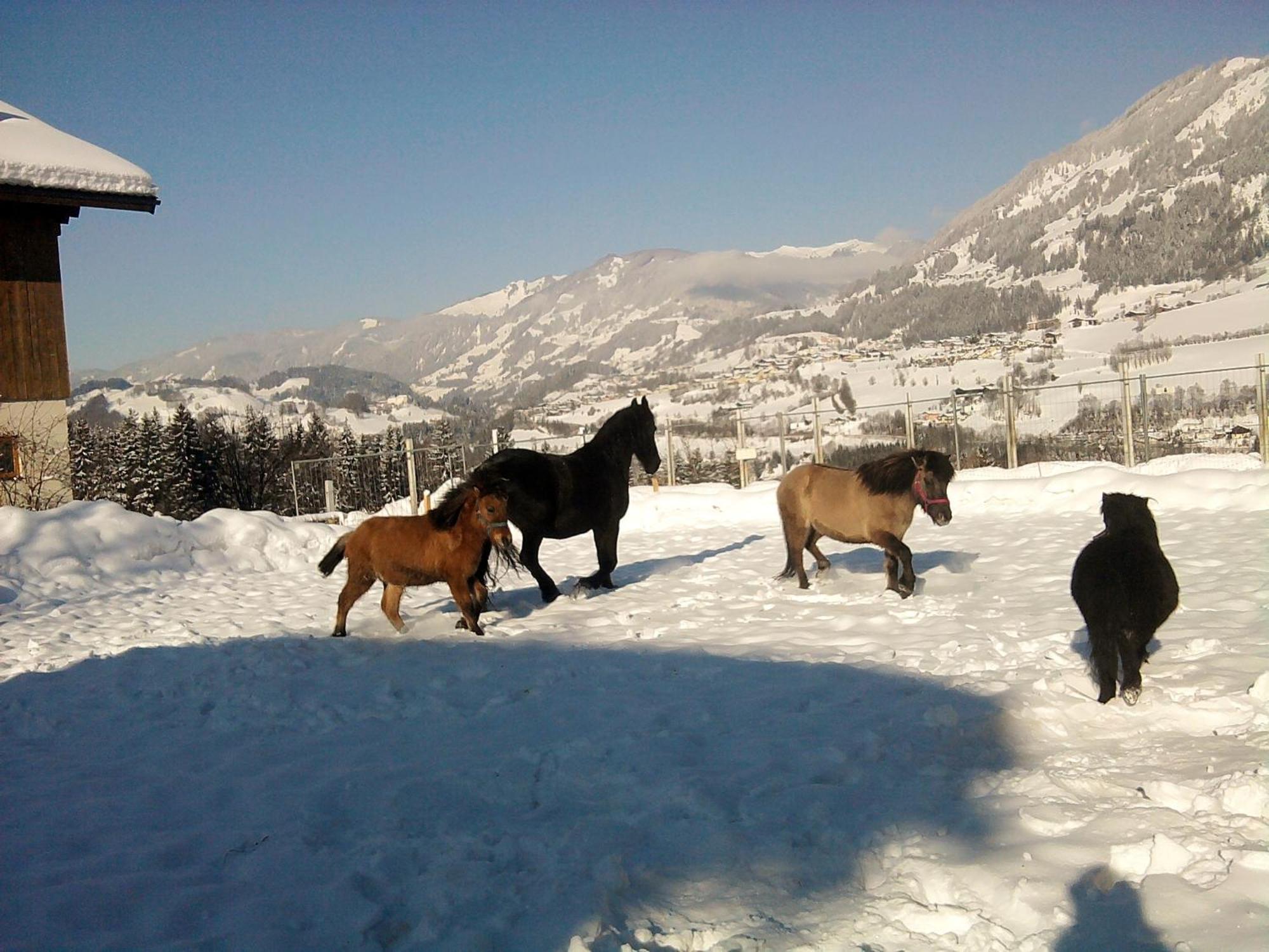 Apartmán Weidinghof Sankt Veit im Pongau Exteriér fotografie